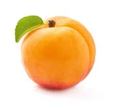 Single Apricot image