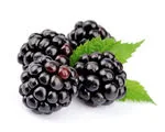 Blackberry fruit image