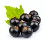 Blackcurrant fruit image