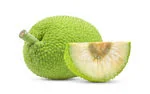 Breadfruit image with white background