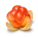 single cloudberry in white background