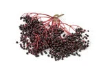 group of Elderberry in white background