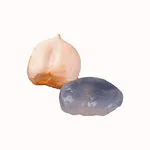 one peeled with full Nungu or Ice apple in white background