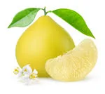 one piece with full Pomelo fruit in white background