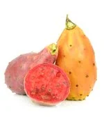 pair of Prickly pear in white background image