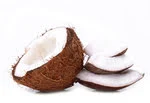 Coconut in white background image