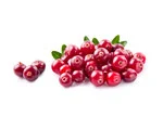bunch of Cranberry in white background image