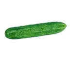 cucumber in white background image