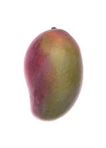 single mango in white background image