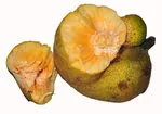 sliced monkey fruits in white background image
