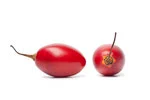 Two Tamarillo fruit in white background image
