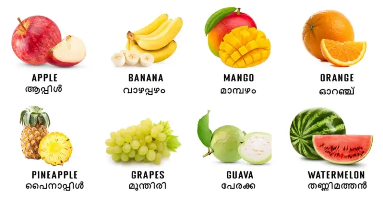 fruits name in Malayalam and English with beautiful fruits pictures in white background