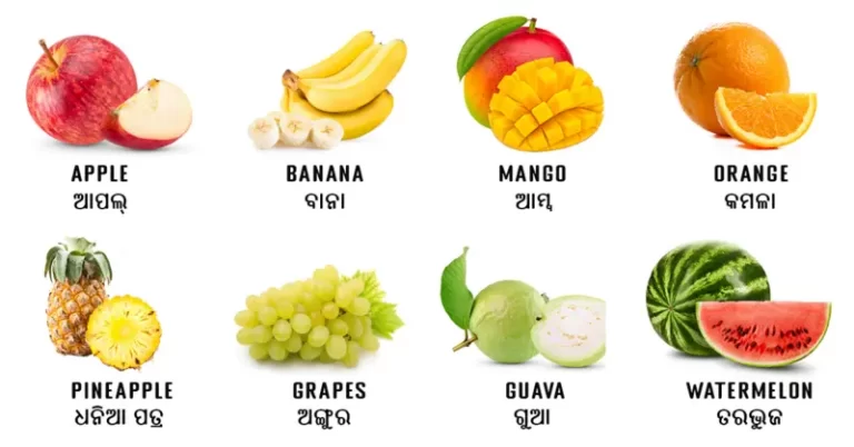 fruits name in Odia and English with beautiful pictures in white background.