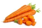 Carrot in white background
