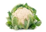 Cauliflower in white background