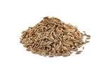 Cumin seeds in white background