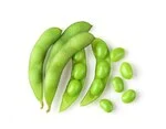 French beans in white background