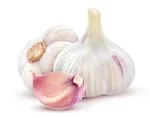 Garlic in white background