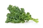 Kale in white background