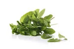 Mint leaves in white background