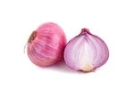Onion in white background