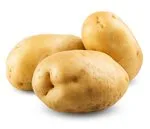 Potato in white background