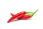 Red chili in white background