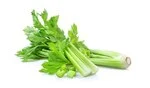 Spring onion in white background