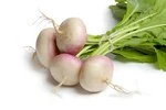 Turnip in white background