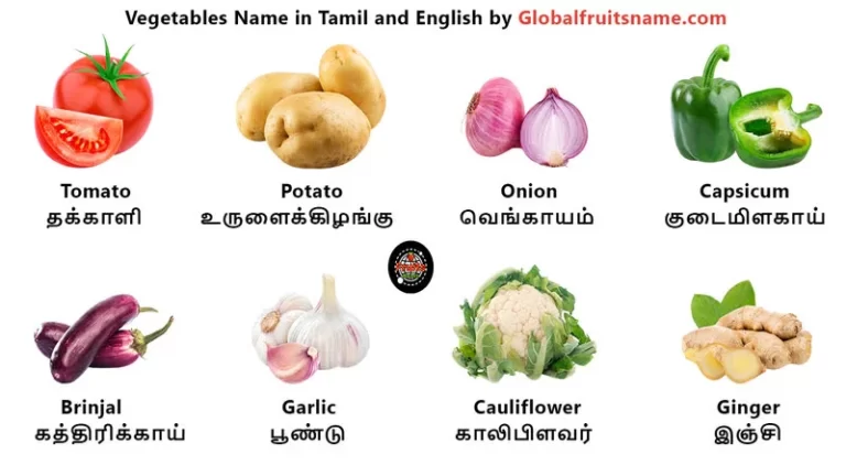 Vegetables Name in Tamil and English with Pictures by Globalfruitsname.com