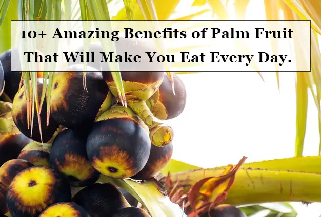 image containing palm fruit with the title !0+ amazing benefits of palm fruits that will make you eat every day.
