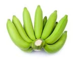 bunch of Green banana in white background
