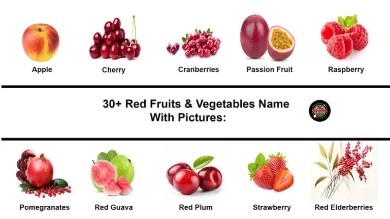 Red fruits name image