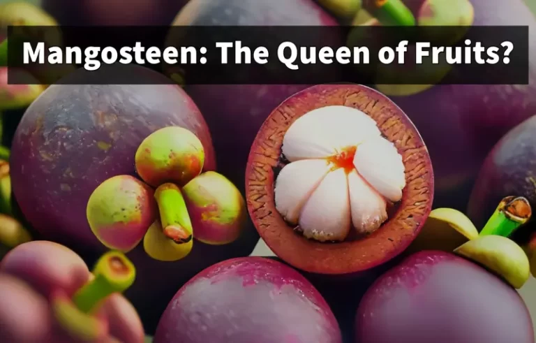 Image containing mangosteen with a title called Mangosteen: The queen of fruits?