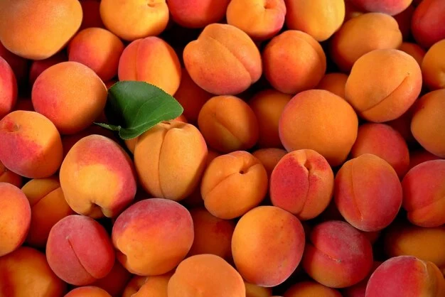 bunch of peach covered all over the image