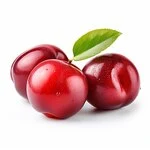red plums in white background