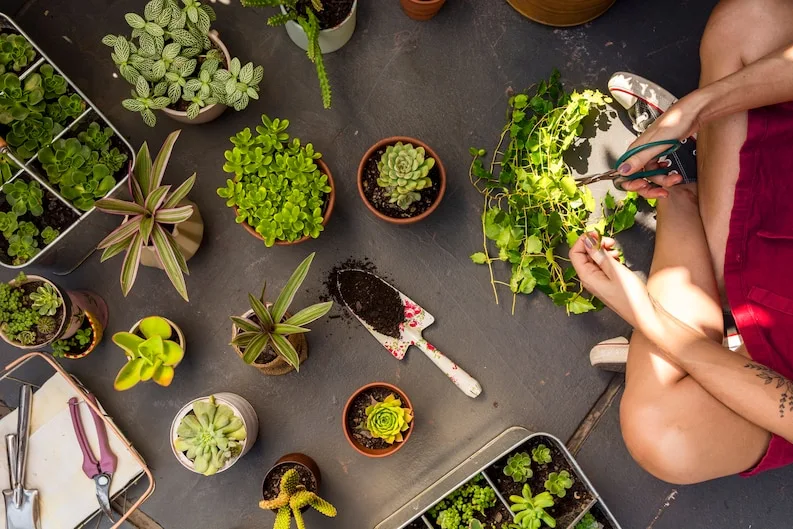 a woman is sitting and cutting plants with scissors and with some gardening tools.