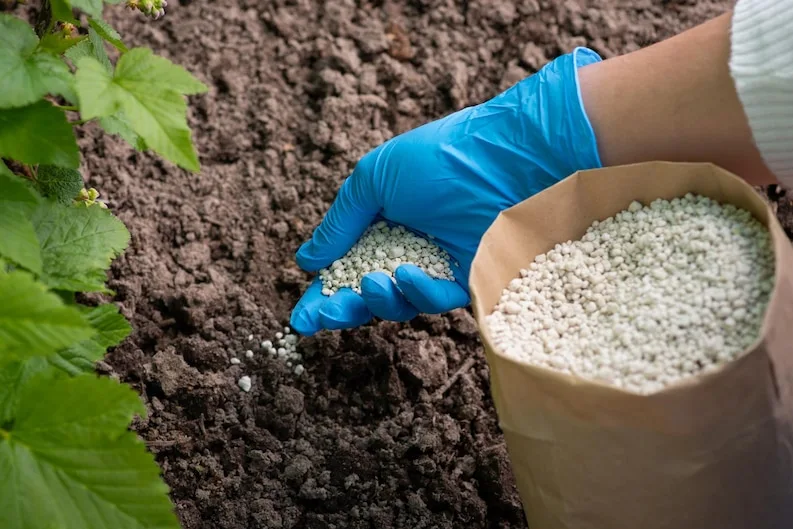 A man is using fertilizers on soil.