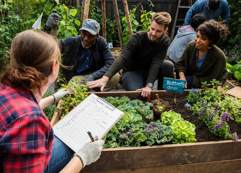 A group of gardeners on the Square foot gardening planner.