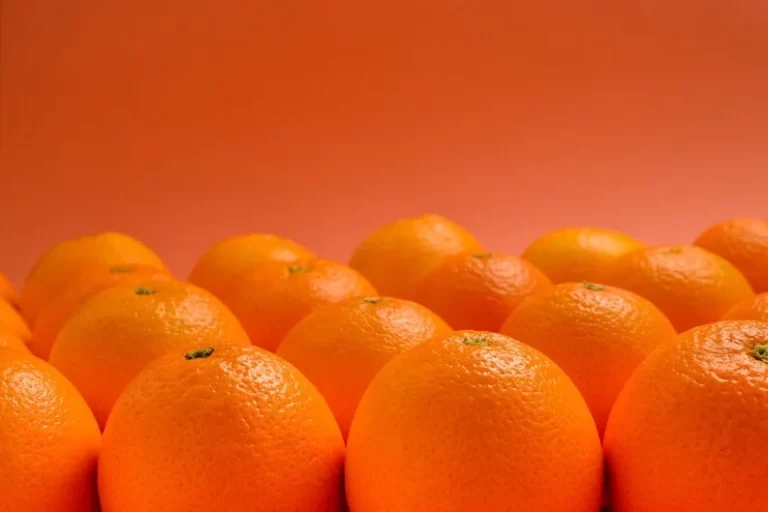 group of oranges are arranged in a row in Orange color background.