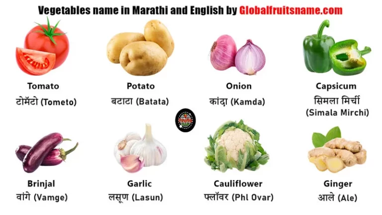 image containing title vegetables name in Marathi and English by Globalfruitsname.com with vegetables pictures and their names in both Marathi and English in White background with Globalfruitsname.com Logo in Middle of the picture.