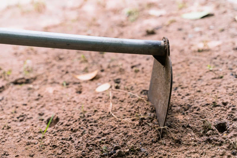 Garden Hoe which is stuck on the field  mud