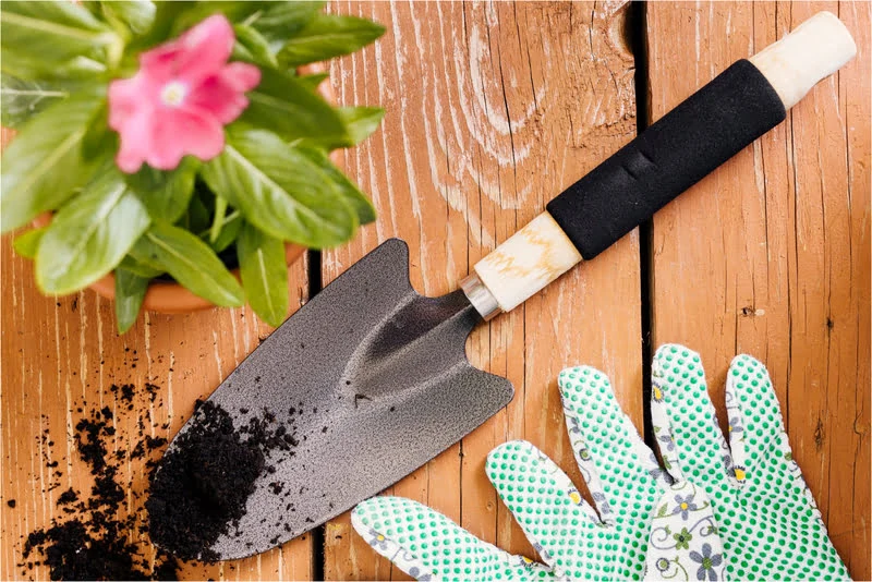 Hand Trowel with gloves and small plant on a wooden table.