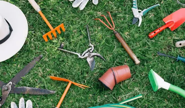 Pruning Tools on the grass.