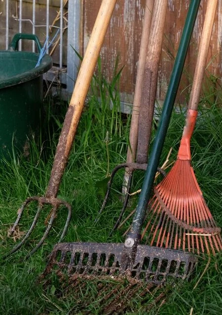 various rakes used in gardening stands on the grass