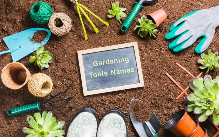 in a chalk board written as Gardening tools names with garden tools surronding the board.