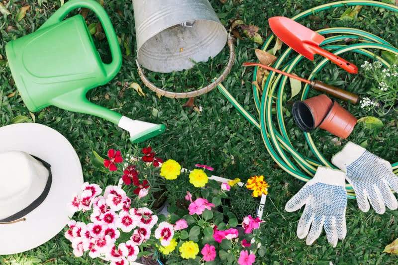 watering tools for gardening on the grass 